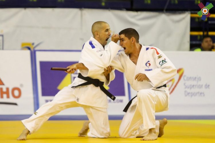 Stage de Kata organisé par le Comité Isère de Judo Jujitsu et D.A.  le dimanche 18 octobre 2020 ouvert aux licenciés de la Ligue AURA